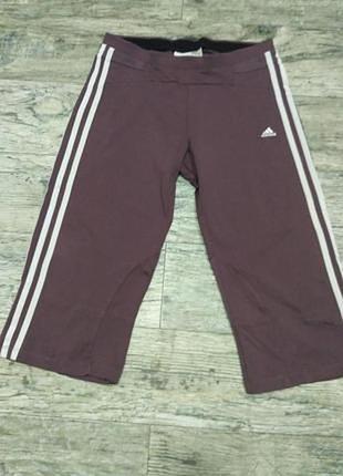 Спортивні капрі m,l adidas