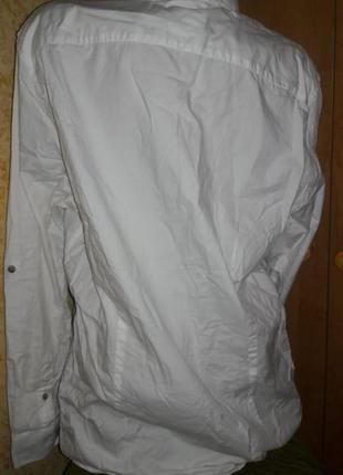 Мужская базовая белая рубашка ted baker оригинал 6 коттон2 фото