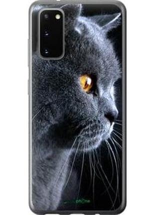 Чехол на samsung galaxy s20 красивый кот "3038t-1824-2448"
