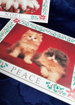 Винтаж!🎄🐈🐕 открытки новогодние рождественские котики собачки малыши пушистики с пожеланиями щенятая катятка отверстий набор2 фото