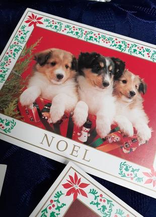 Винтаж!🎄🐈🐕 открытки новогодние рождественские котики собачки малыши пушистики с пожеланиями щенятая катятка отверстий набор3 фото