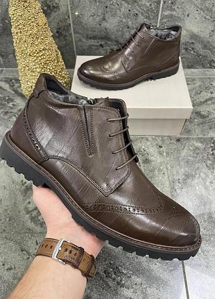 Зимние туфли / ботинки paolo conte brown (кожа, натуральный мех)