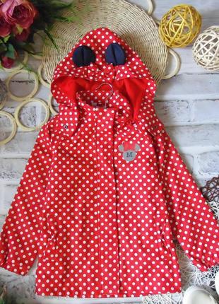 Гламурна яскрава вітровка дощовик orchestra