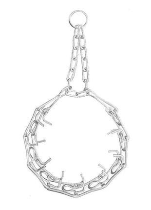 Строгий нашийник (4см х 74см) хромовані