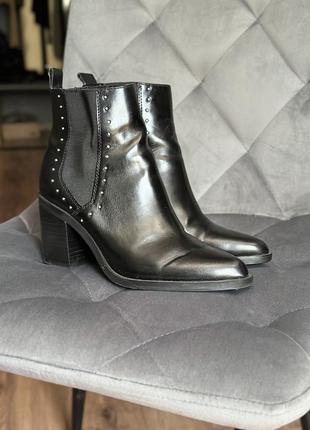 Казаки stradivarius
