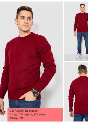 Вовняний чоловічий светр, , 247r22202