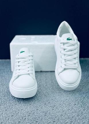 Жіночі кросівки lacoste кеди білого кольору лакоста