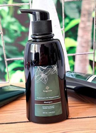 Bogenia шампунь для волосся з розмарином та м'ятою rosemary peppermint 350 мл  богенія