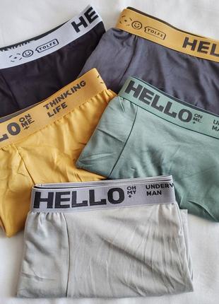 Чоловічі літні боксери hello l- xl - xxl