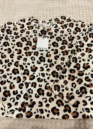 Кофта реглан zara