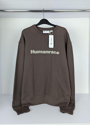 Оригинальный свитшот adidas originals x pherrell williams