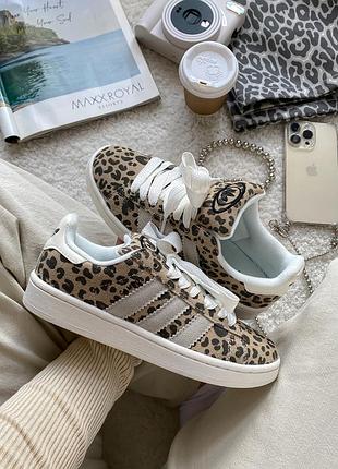 Кросівки adidas campus leopard