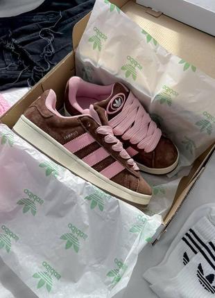 Кросівки adidas campus brown