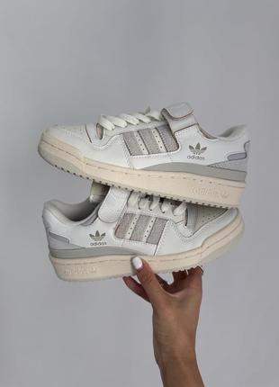 Кросівки adidas forum beige / grey premium