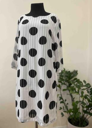 Sweet miss літня сукня в горох