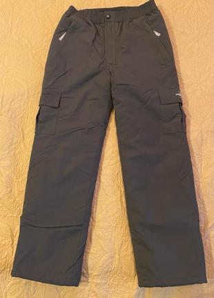Лыжные зимние штаны