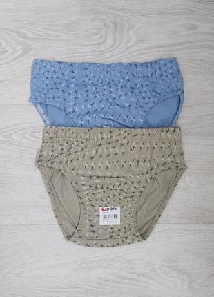 Хлопковые трусы на мальчике с принтом синего и коричневого цветов