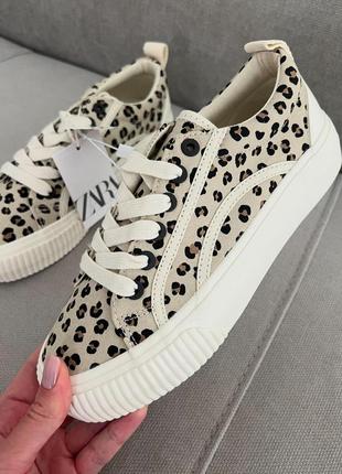 Леопардовые кеды zara тренд