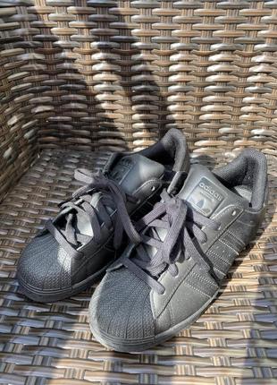 Кросівки adidas, кроссовки adidas . adidas superstar