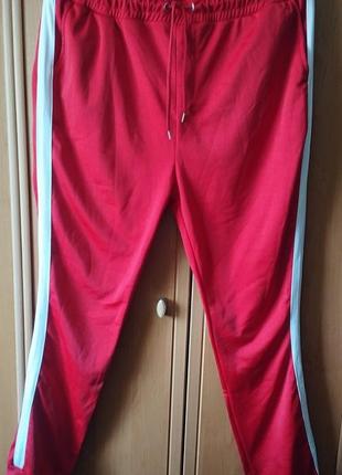 Primark  2 xl