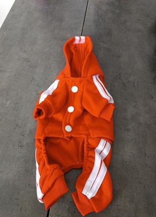 Худи для собачки adidog