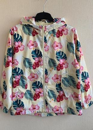 Вітровка mango р.164