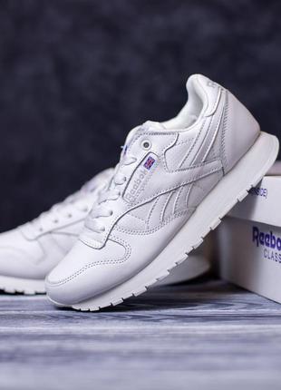 3187 reebok classic кроссовки мужские рыбки измельчения кроссовки мужское4 фото