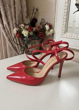 Giardini красные