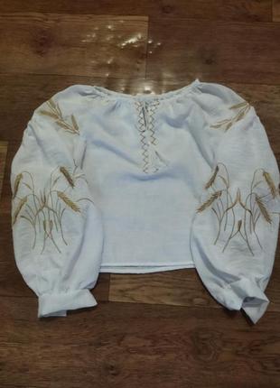 Вишиванка колосок