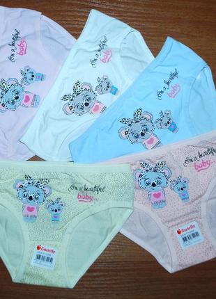5 шт трусики 6-7 рост 122-128 донелла donella коала