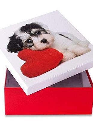 Коробка подарункова оотв собака з серцем 22 х 22 см