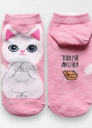 Милые корейский хлопковые носки с котами harajuku дизайн короткие носки турецкая ангора розовые