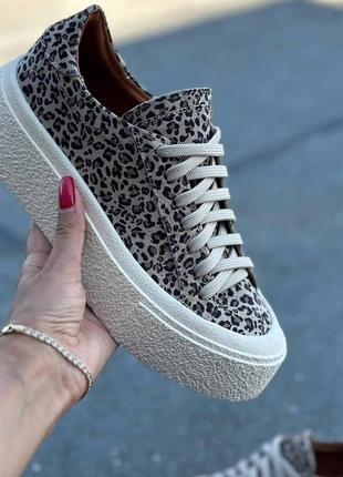 36-41 рр кроссовки, кеды на платформе натуральная кожа/замша бежевый, белый, черный