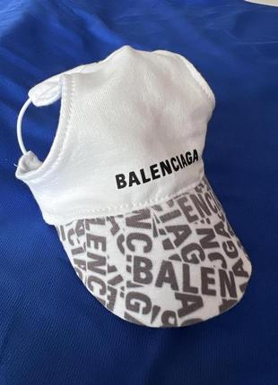 Головний убір (кепка) для собак "balenciaga"