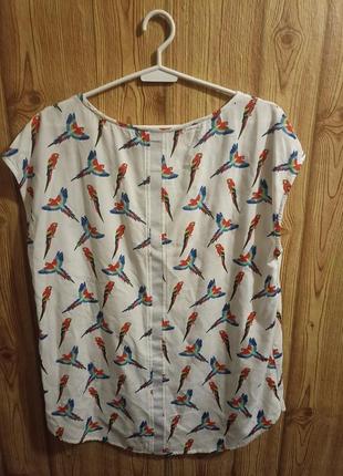 Блуза жіноча розмір 40-422 фото