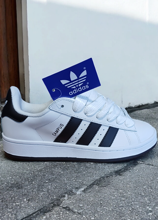 Adidas campus