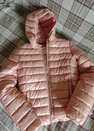 Куртка terranova