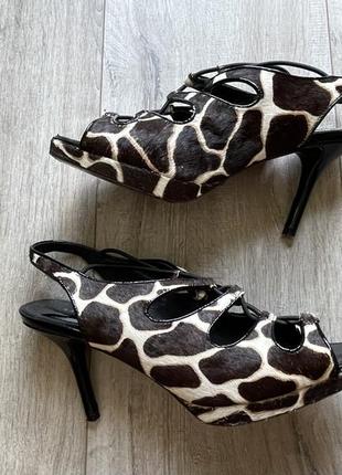 Туфлі жіночі karen millen тваринний принт