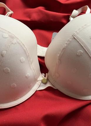 Бюстгальтер