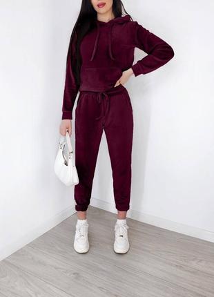 Рожевий жіночий велюровий костюм жіночий спротивний велюровий костюм жіночий...