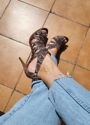 Бомбезні шкіряні брсоніжки, бразилія