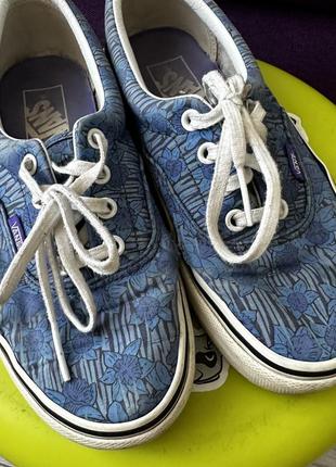 Кедр cyclone vans 36