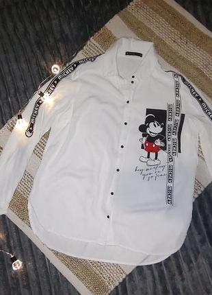 Рубашка сорочка блуза xxs mohito