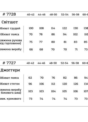 Свитшот женский (unisex) 40-42, 44-46, 48-50, 52-54,56-58, 60-62 турецкая двунитка3 фото