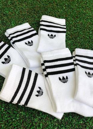 Шкарпетки adidas