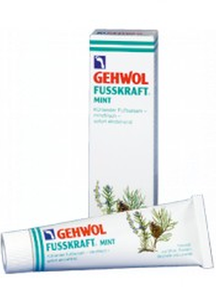 М'ятний бальзам геволь / gehwol mint, 125 мл