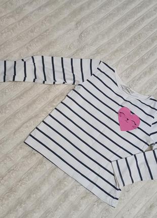 Кофточка лонгслив