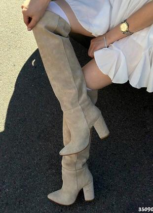 Стильні чоботи труби на підборах