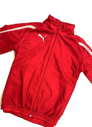 Куртка вітровка/куртка  демісезонна puma