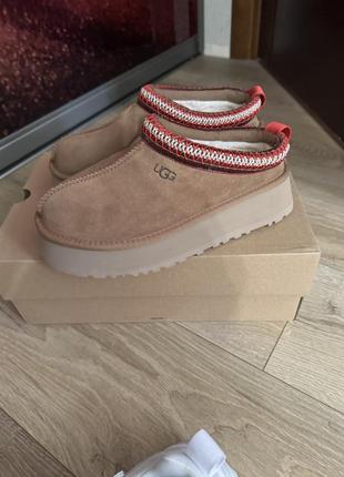 Ugg tazz